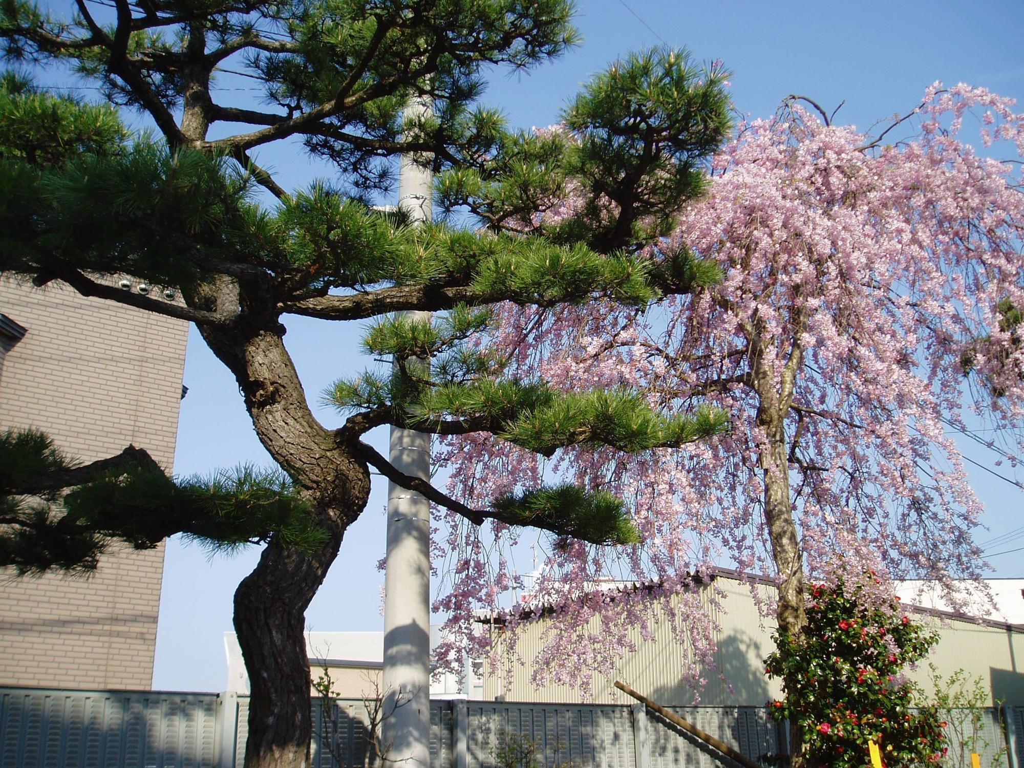 Mutsu Park Hotel Exterior photo